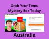Grab Your Temu Mystery Box Today!