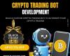 Maximize Profits with Our Custom Crypto Trading Bot Development