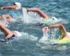 Adult Swimming Lessons In London - Triathlon & Distance Swim Training