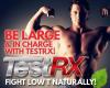 TestRX® Boosts Testosterone For Guys Who Want Bigger Muscles!