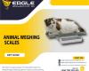 Large platform Animal electronic dog pet scale, animal scale, postal scale Kampala