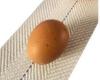 Egg Conveyor Belt by Webbing N Tapes quality, reliability