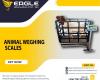 1500kg Animal industrial Platform Animal Scales platform weighing scale in Uganda