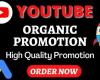 Supercharge Your YouTube Growth with Organic Video Promotion!
