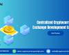 Centralized Cryptocurrency Exchange Development Company