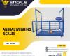 Animal Scales Mechanical Bench Weigh Scales in Kampala Uganda