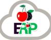 Cherry Berry ERP - Enterprise Resource Planning