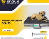 Pet platform animal weighing scales in Kampala Uganda