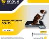 Suppliers of animal electronic digital Animal scales in Kampala