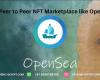 Build a Peer to Peer NFT Marketplace like Opensea