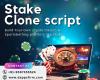 Seamless Gaming Experience: Discover the Benefits of Stake Clone Script