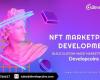 Unleash Your Digital Potential: Elevate with Elite NFT Development