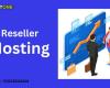 HostOne Provides Fast Secure And Best Reseller Hosting In Pakistan