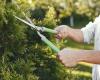 Buy Gardening Power Tools & Hand Tools in Dubai