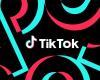 Install and Use the Tiktok App!