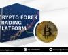 Crypto forex trading platform development company - Addus Technologies