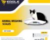 Large platform Animal electronic dog pet scale, animal scale, postal scale Kampala